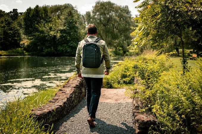 Everyday Backpack